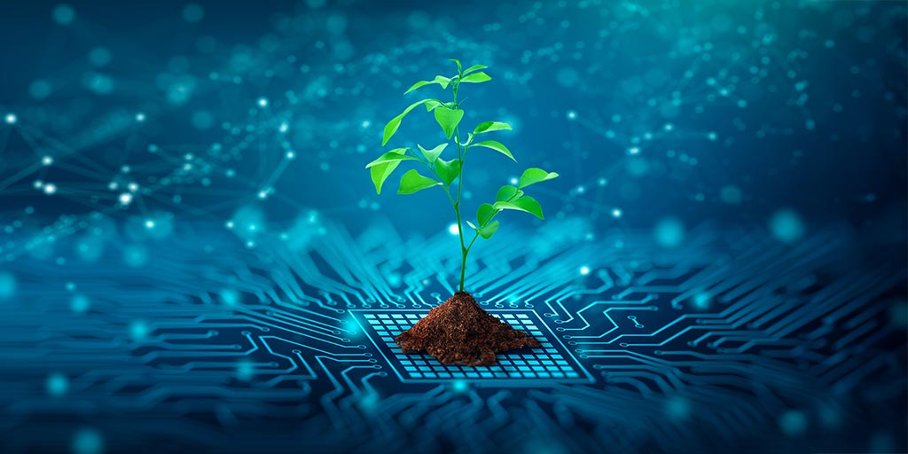 Grüne Pflanze auf digitalem Netzwerk – steht für umweltfreundliche Glasfaser und das FTTH-Netz von Wettingen4net in Wettingen