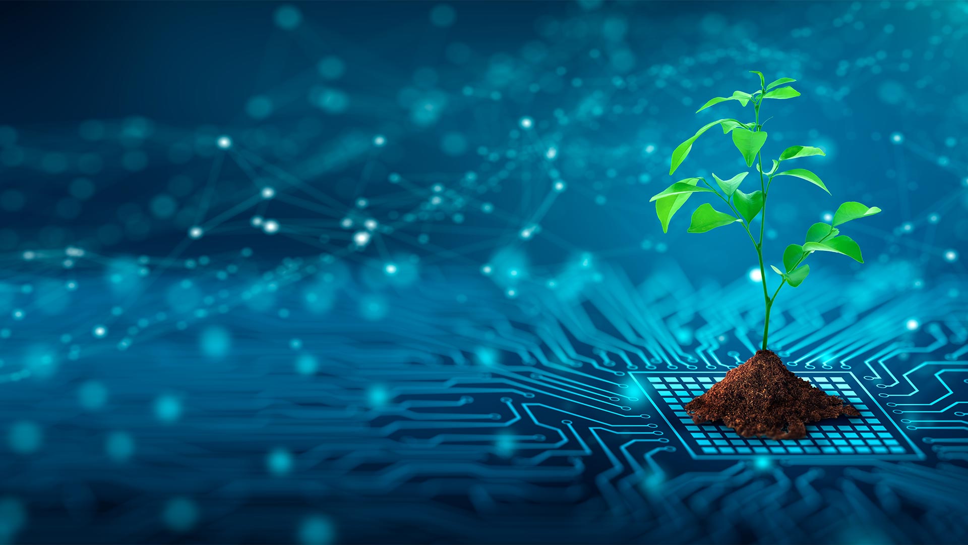 Junge Pflanze wächst aus einer elektronischen Leiterplatte – Symbol für die umweltfreundliche Glasfaserinfrastruktur von Wettingen4net in Wettingen